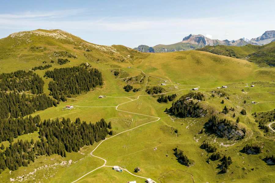 Das Elsighorn