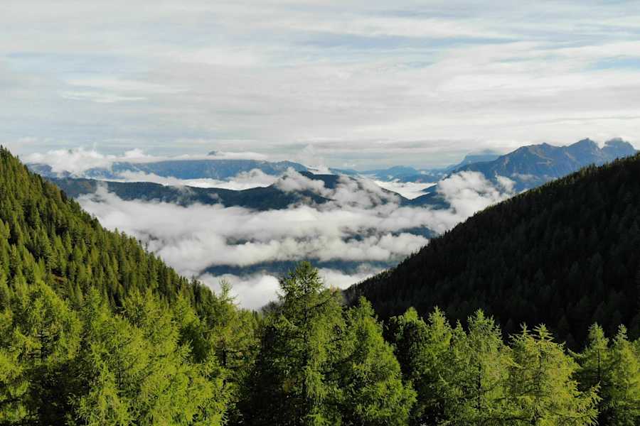Blick von der Hütte ins Tal