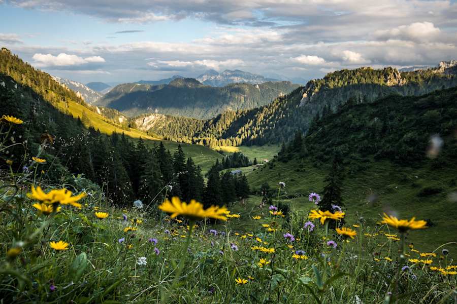 Blick auf das sanfte Tal, in dem sich die Thorau Alm befindet.