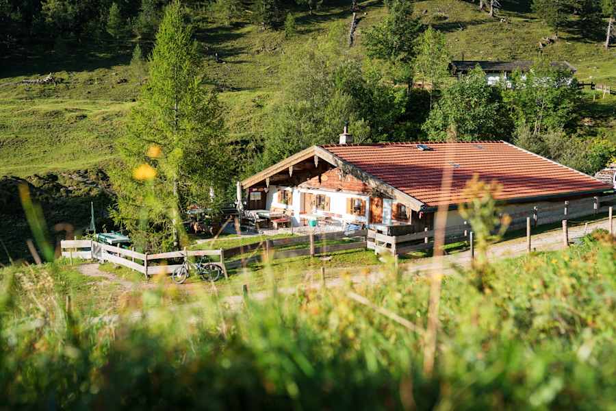 Die Thorau Alm bettet sich in bunte Almwiesen.