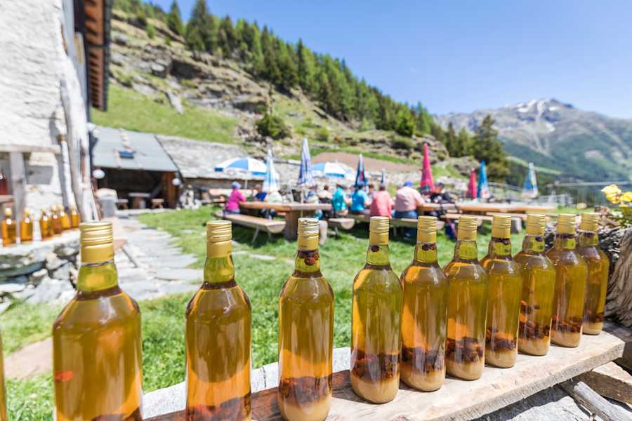 Unser Garten-Restaurant mit selbstgemachten Grappa