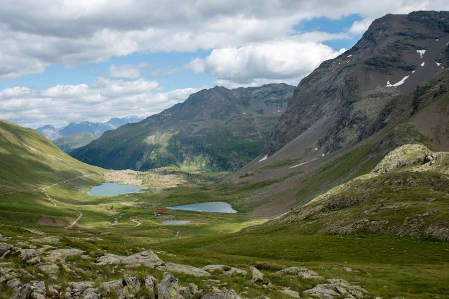 Viola Hütte