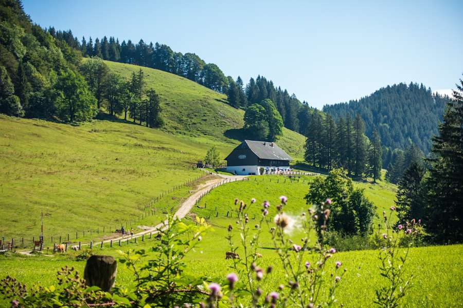 Auf dem Weg zur wunderschön gelegenen Hocherbalm
