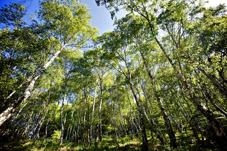 Naturfreundehaus Capanna Genzianella