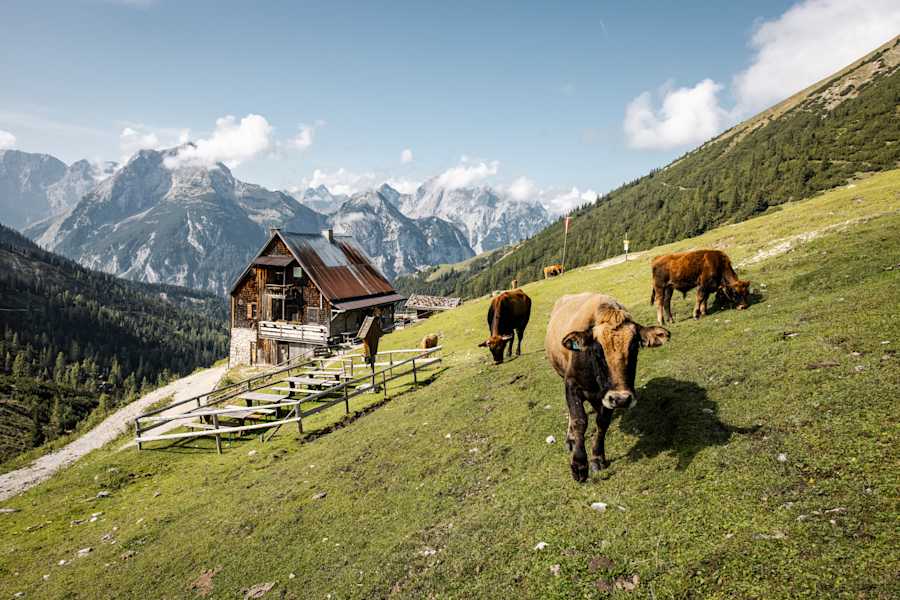 Plumsjochhütte