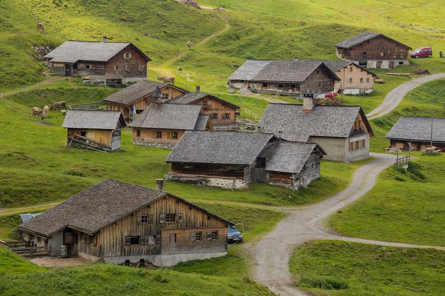 Sterisalpe