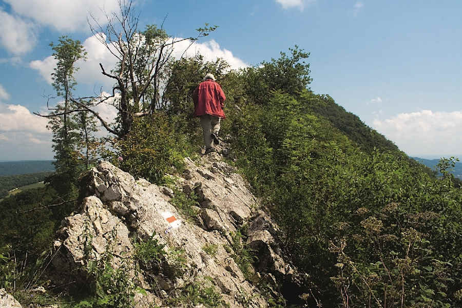 Am Grat der Lägeren