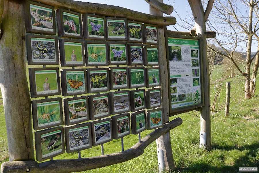 Wissenswertes über die Natur bereichert die Wanderung.