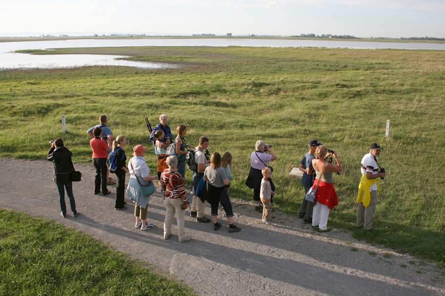Exkursionsgruppe im Gebiet der Langen Lacke im Nationalpark Neusiedlers-Seewinkel