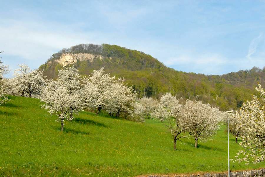 Sissacher Fluh