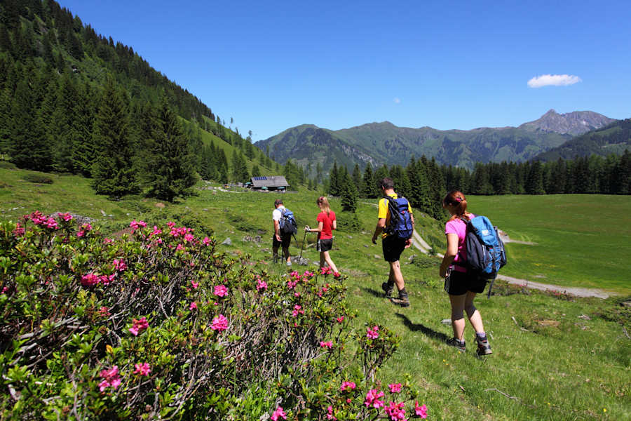 Wanderung zur Hirschgrubenalm