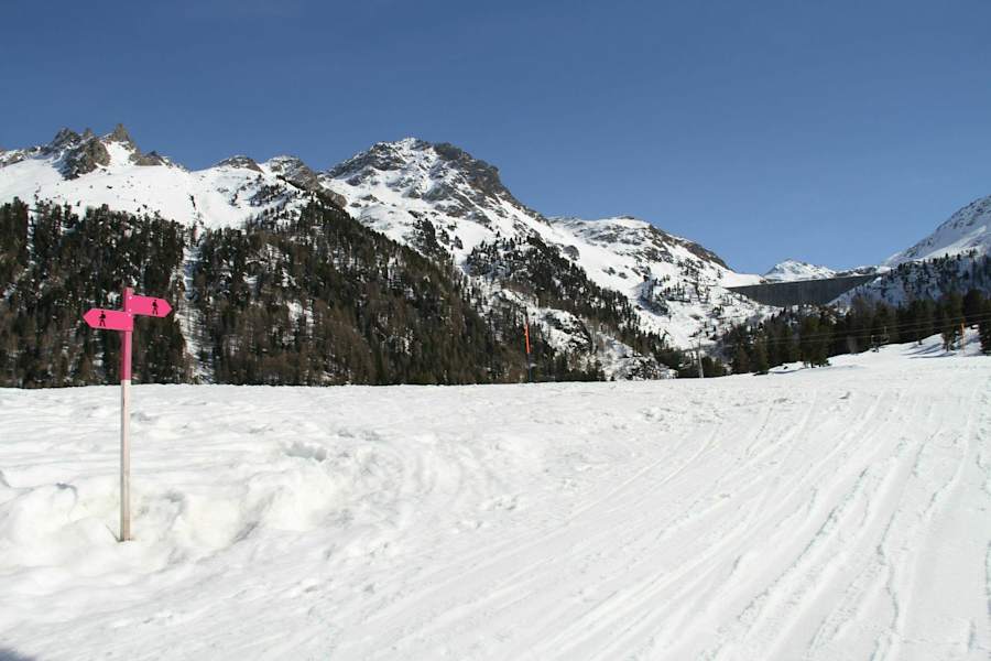Winterwanderung Siviez nach Tortin