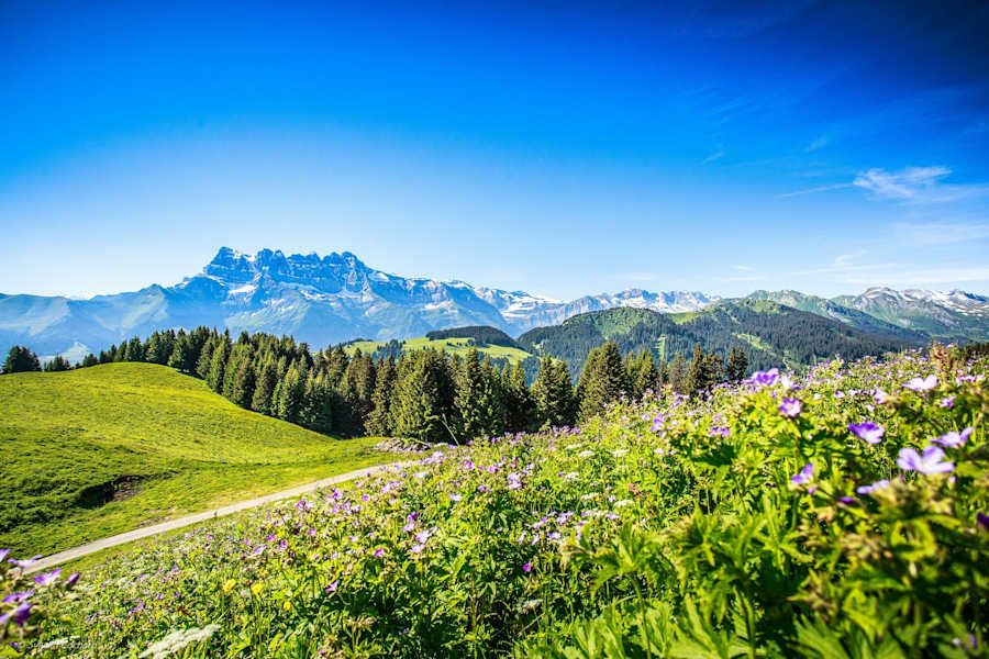 Trailrunning in Portes du Soleil