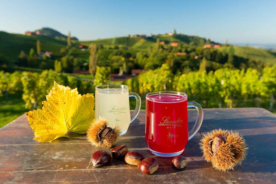 Auch die Kulinark kommt beim WEINwandern an der Südsteirischen Weinstraße nicht zu kurz