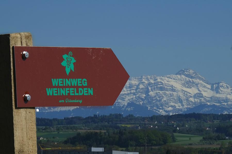Weinweg Weinfelden