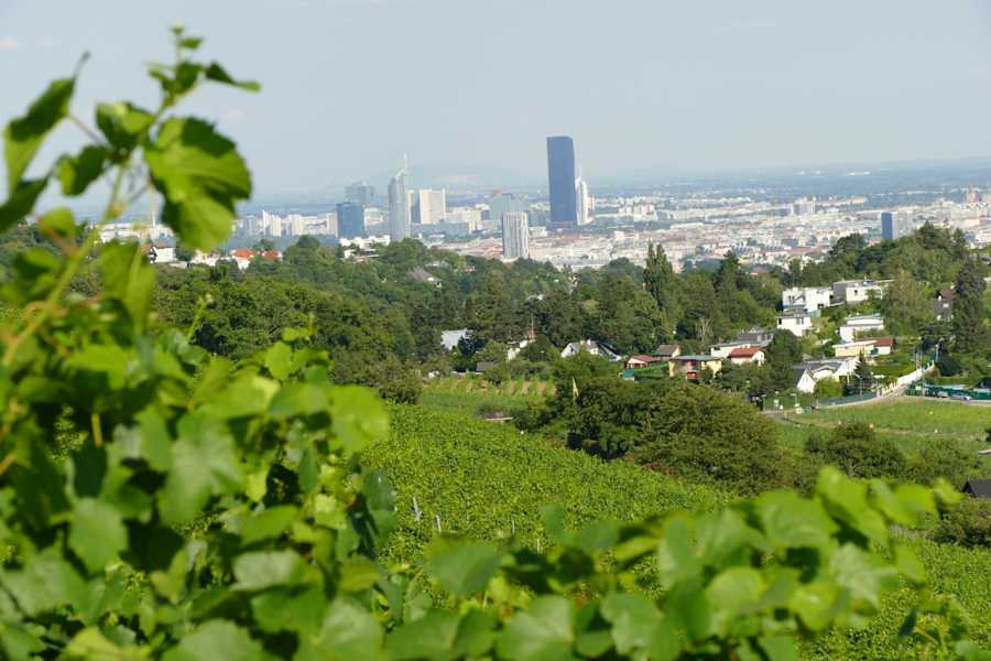 Gut zu sehen: der DC-Tower
