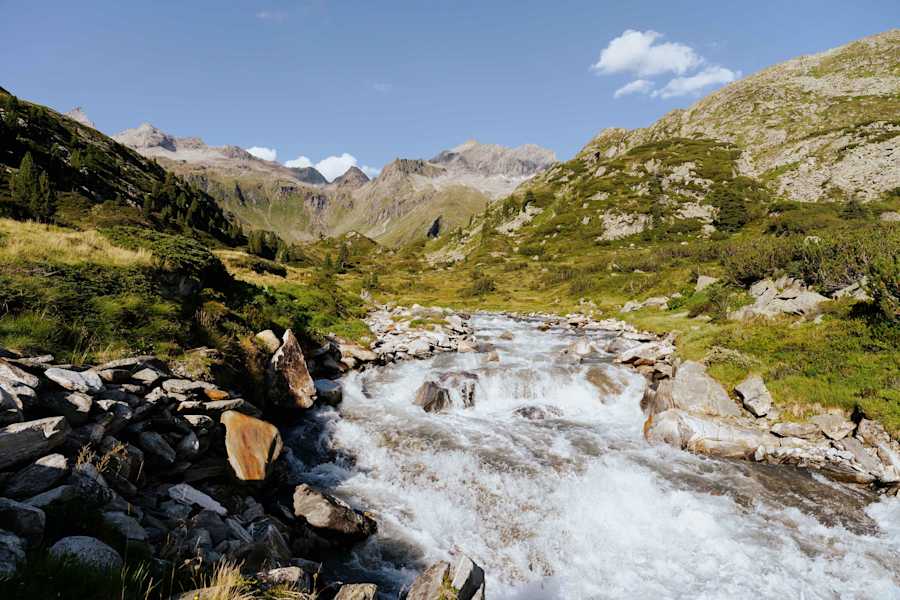 Bach vor der Berliner Hütte