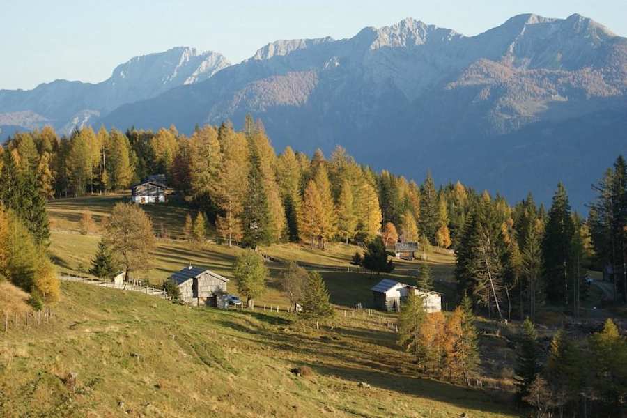 Blick auf die Mooswiesen