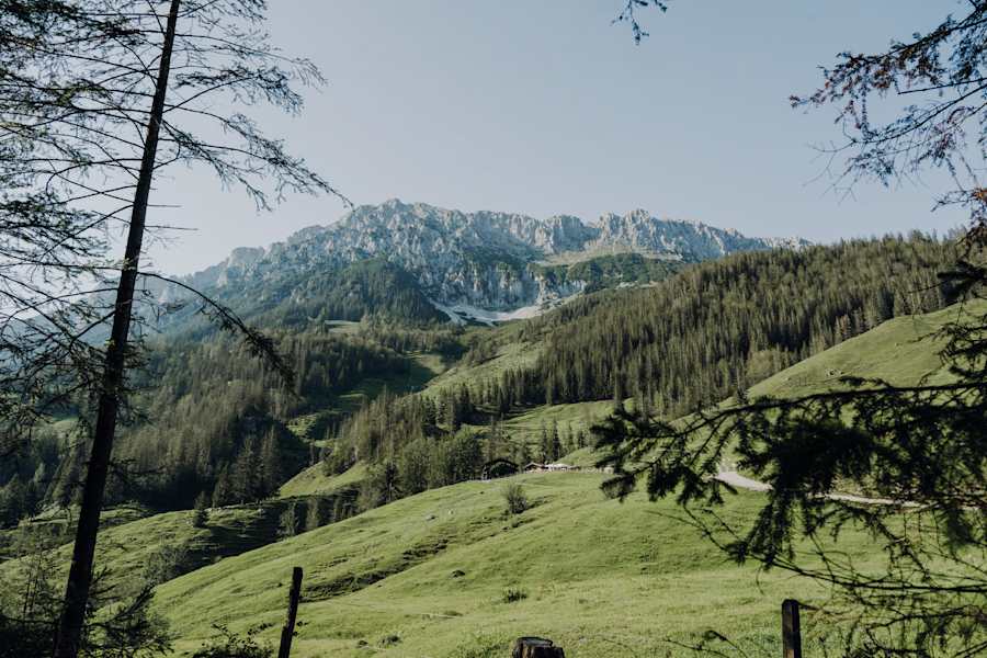 Wanderung durch die Rehbacklamm
