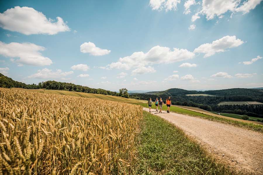Auf Etappe 5 des Fricktaler Höhenweges