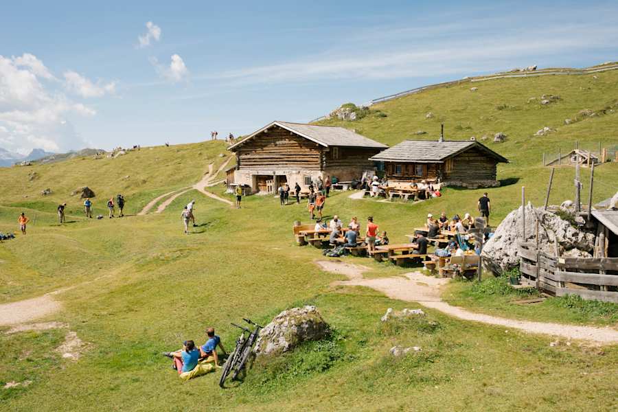 Die Pieralongia Alm
