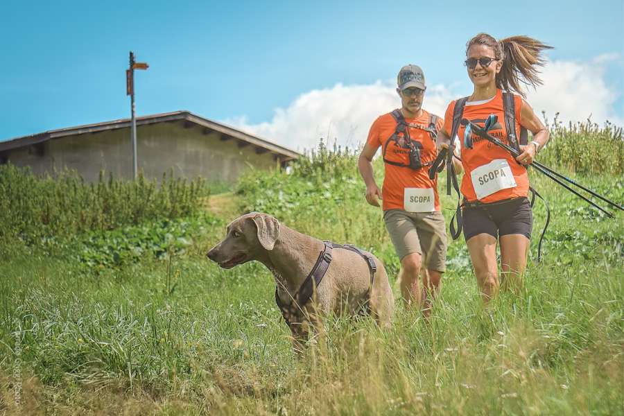 Einmal im Jahr findet am Greina Trail ein tolles Lauf-Event statt.