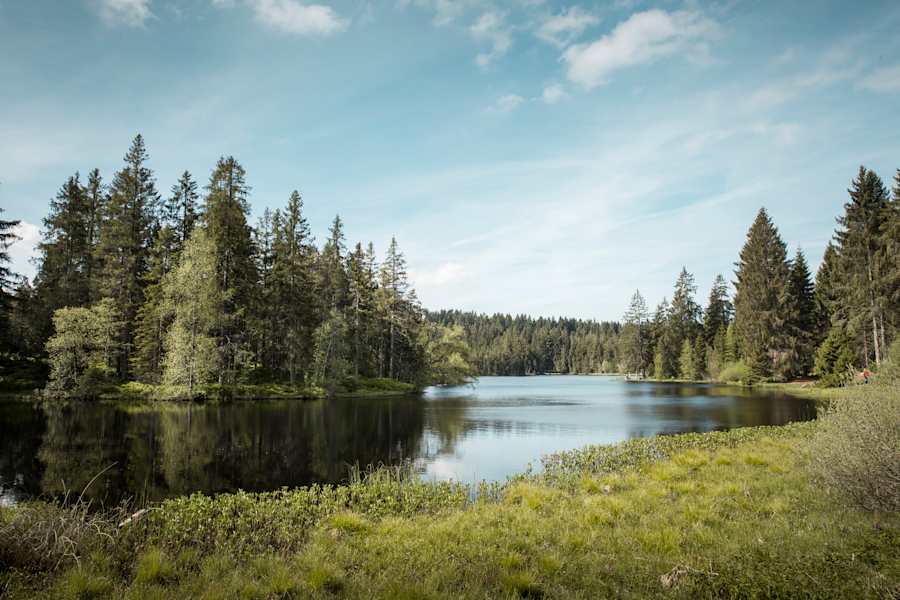 Moorsee Etang de la Gruère morgens