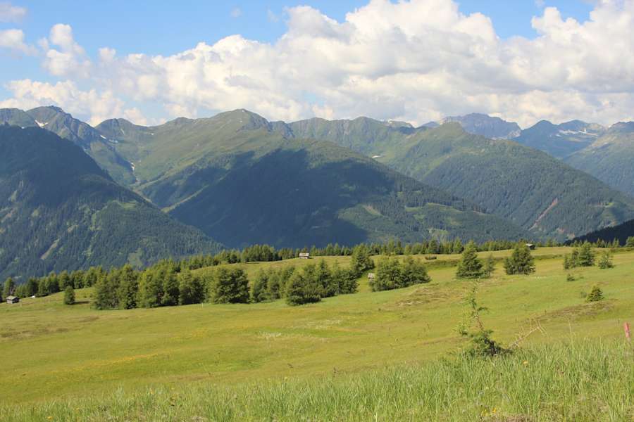 Sonnenüberflutete Bergwiesen der Kircher Alm