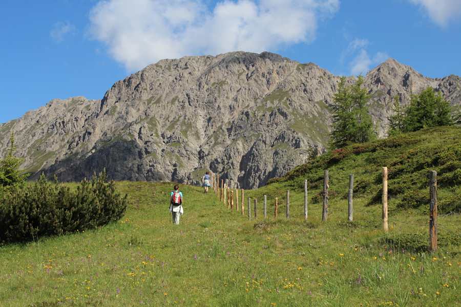 Wiese und Fels