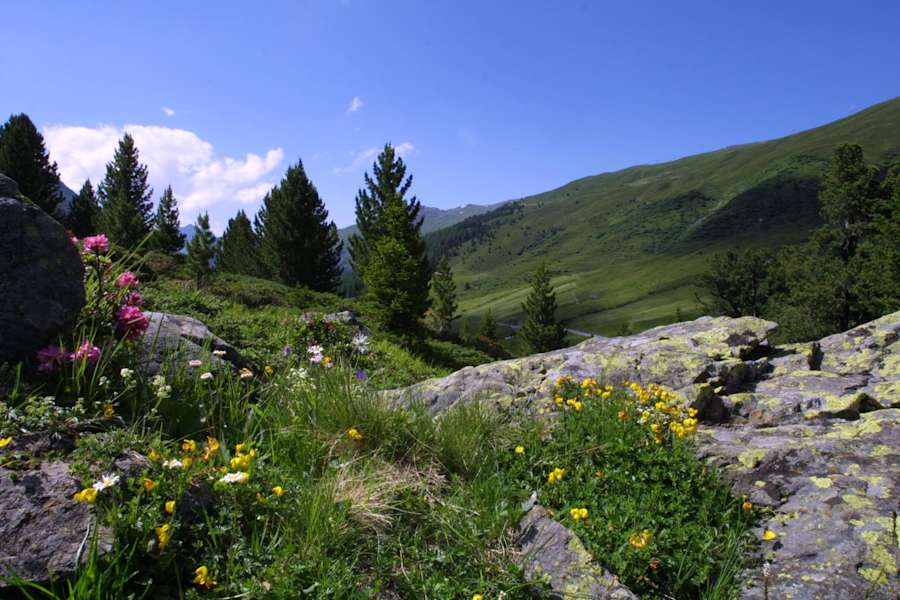 Panorama Flüela Schwarzhorn