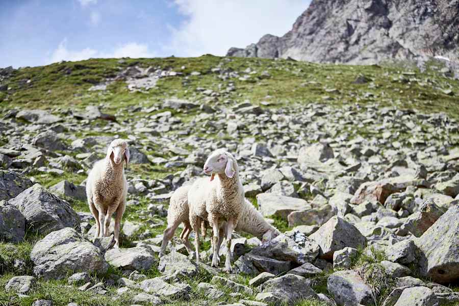 Paznauner Höhenweg, Etappe 6