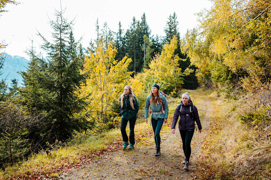 Am Weg zum Kärntner Storschitz