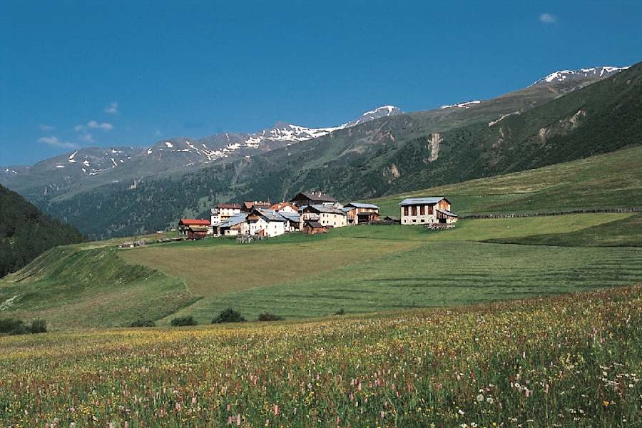 Melag