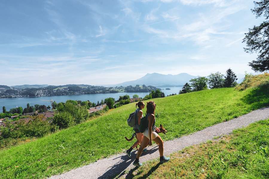 Wandern im Gebiet Bireggwald bei Luzern