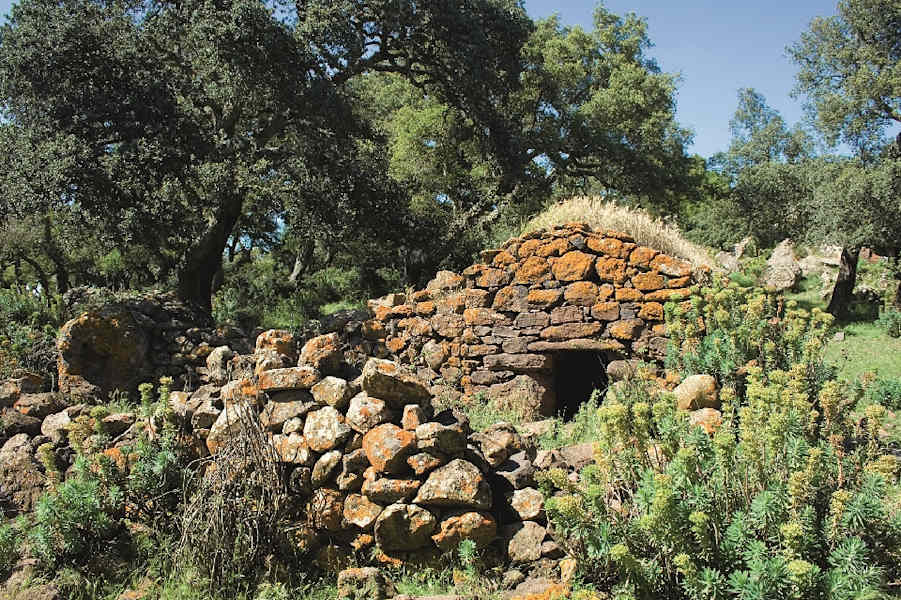 Monte Zeparedda