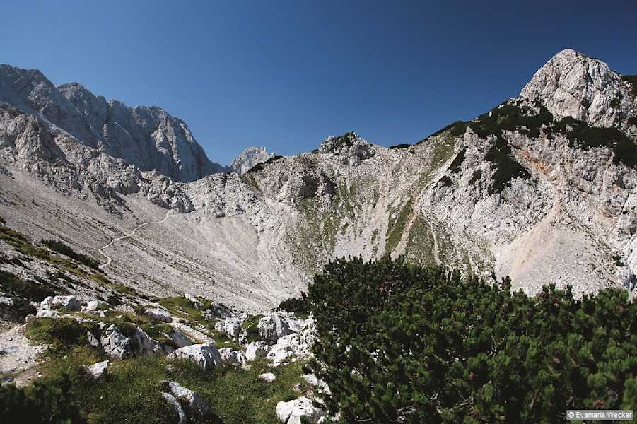 Ein schöner Weg führt vom Savinjsko sedlo in den Jezersko sedlo.