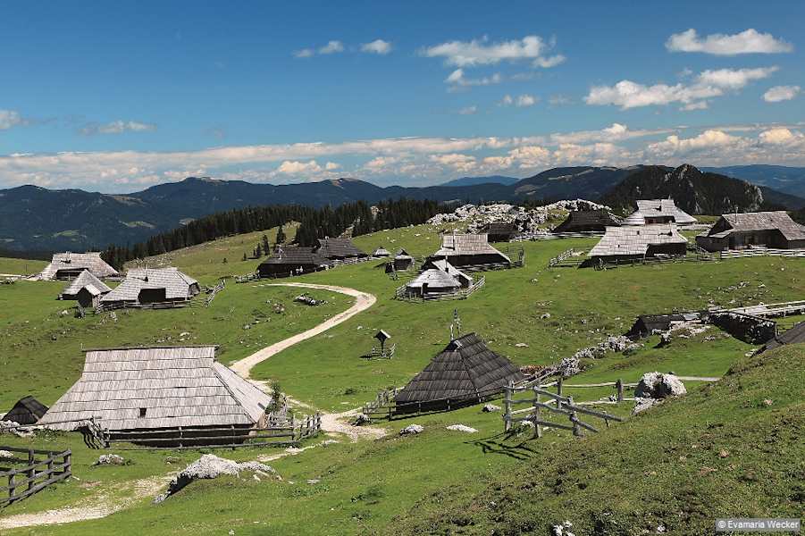 Almhütten auf der Velika Planina.