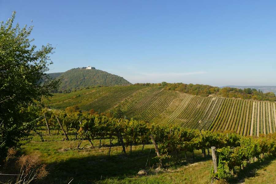 Der Leopoldsberg