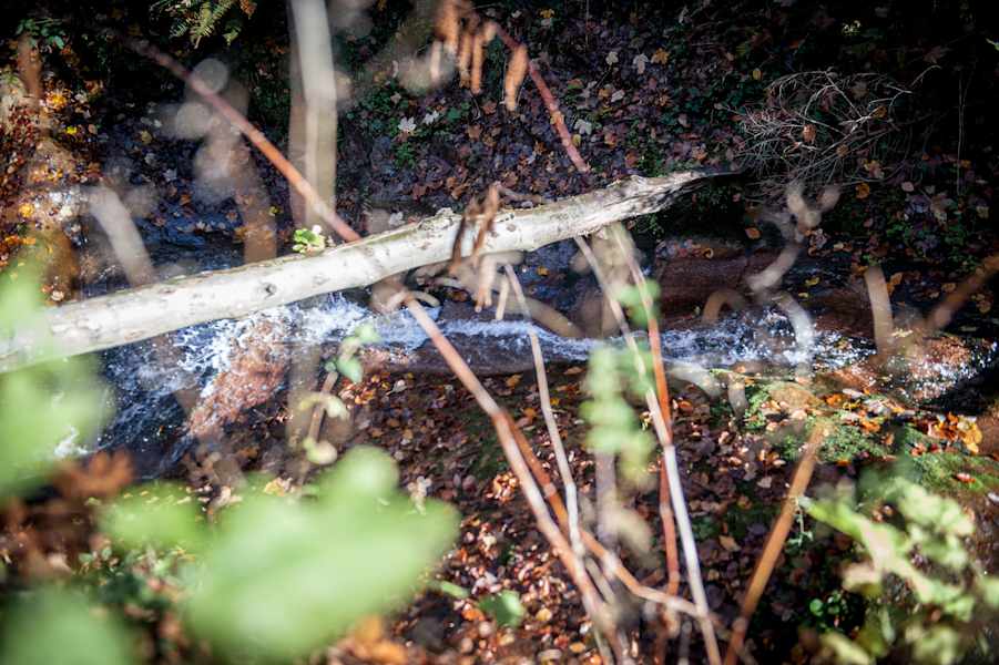 Urig und naturbelassen, die Heiligengeistklamm