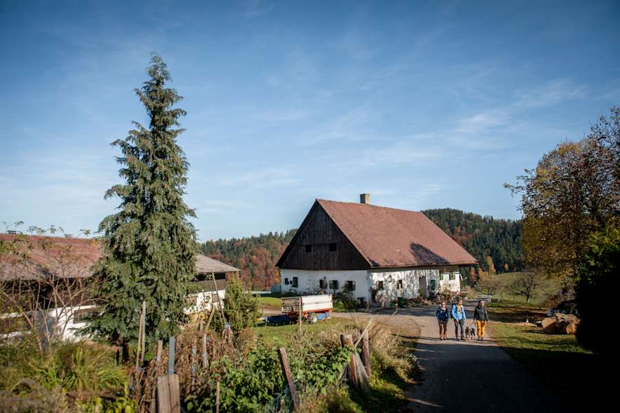 Waucher Gehöft am Ausstieg der Klamm