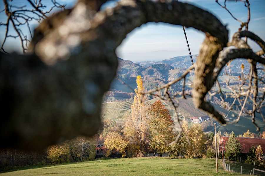 Weitblicke im Herbst