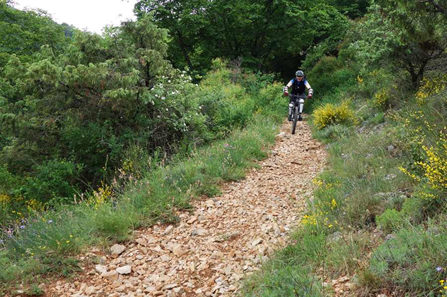 cuore-6752-3