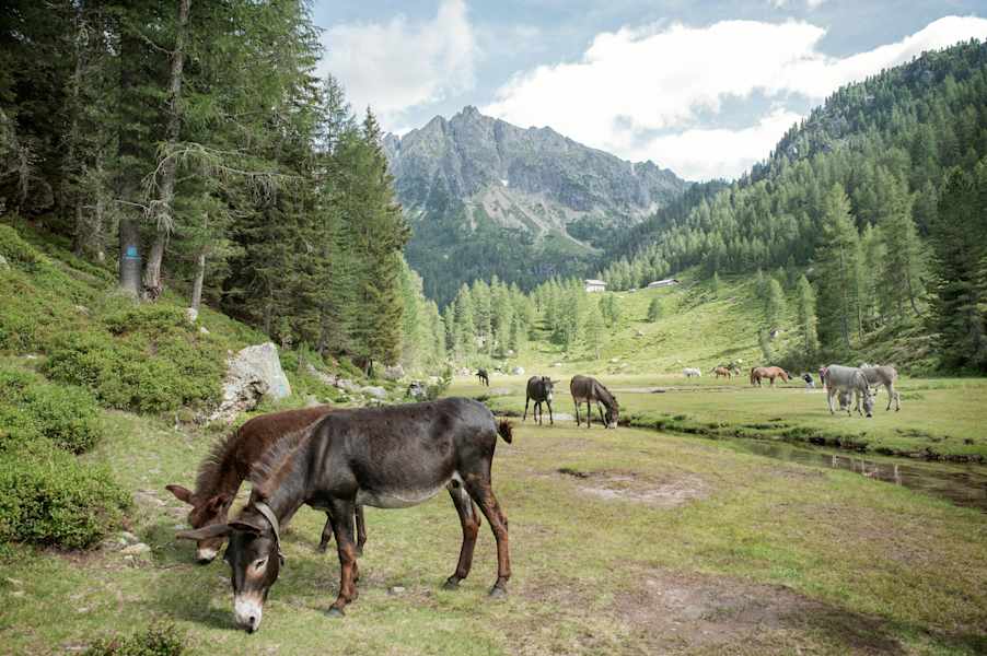 Rifugio Caldenave