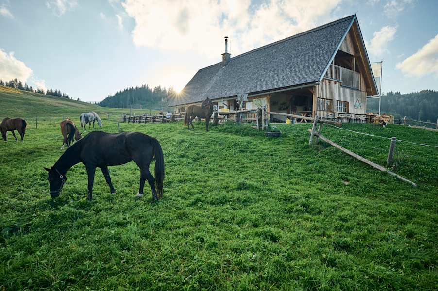 Almgelände rund um die Ebenforstalm