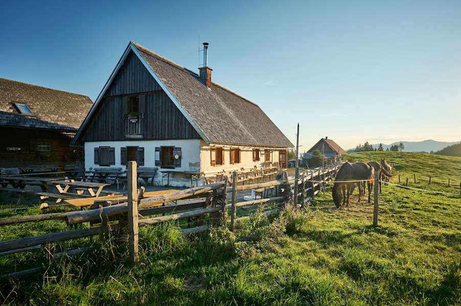 Die Alm im Reichraminger Hintergerbirge