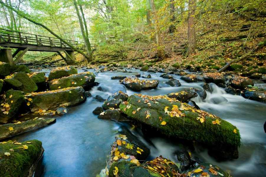 Holzbachschlucht bei Seck
