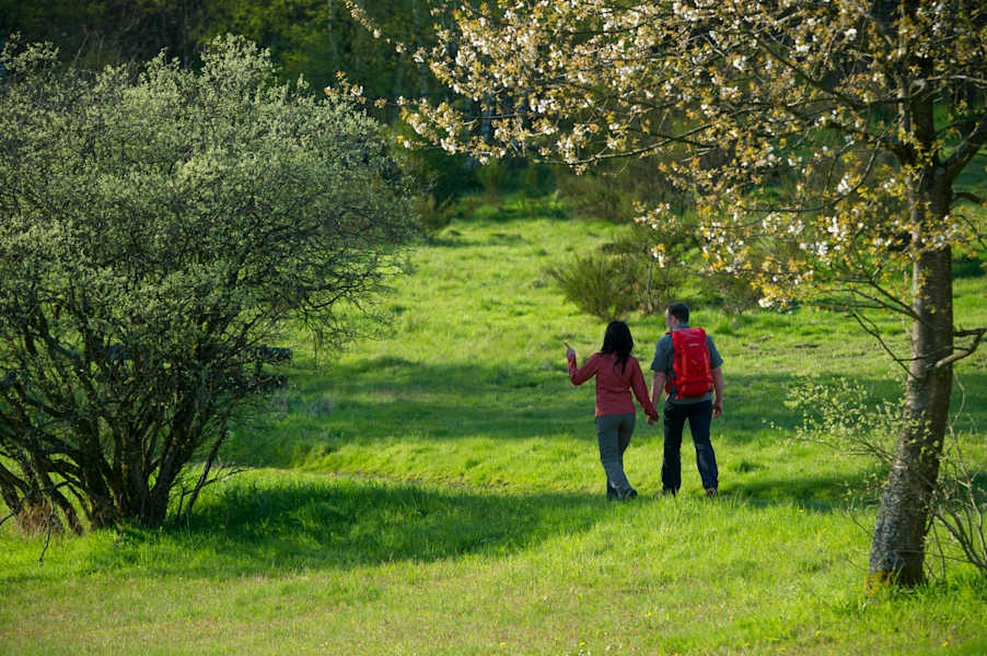 Auf dem Rothaarsteig bei Offdilln