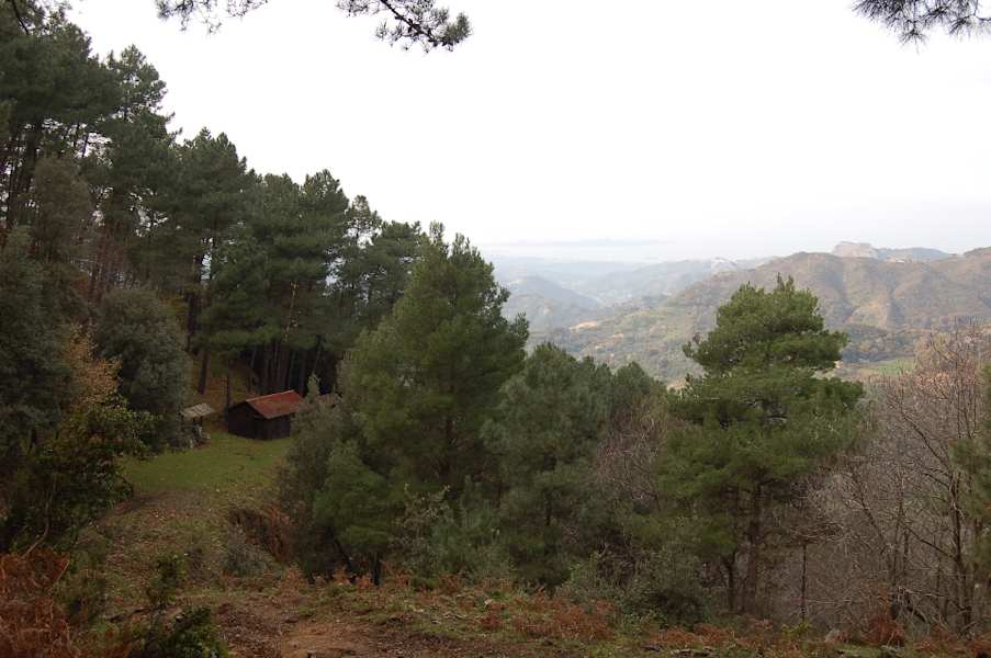 Rifugio Girasi