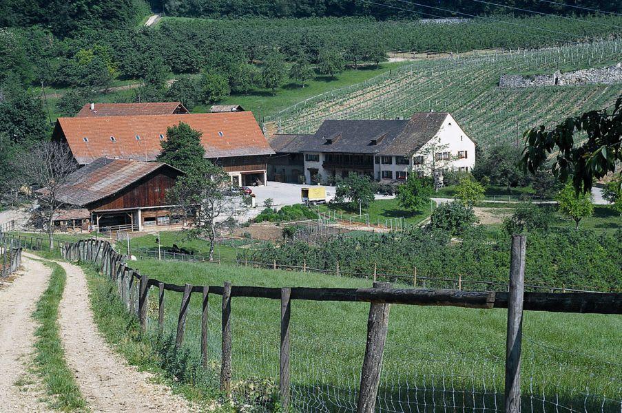 Durch die Felder im Bruderhofgebiet