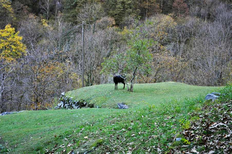 Sonlerto - Wasserfall Foroglio - Bignasco